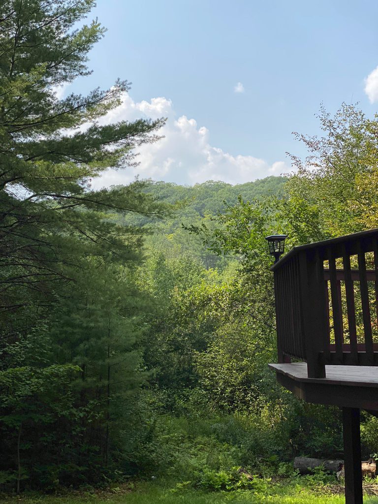 Forest view from our Patio waiting to be found in each pair of eyes, each breath of fresh air.