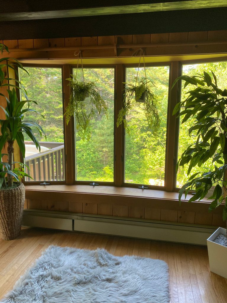 Our spacious windows  that capture a vision of the backyard and draws you outdoors.