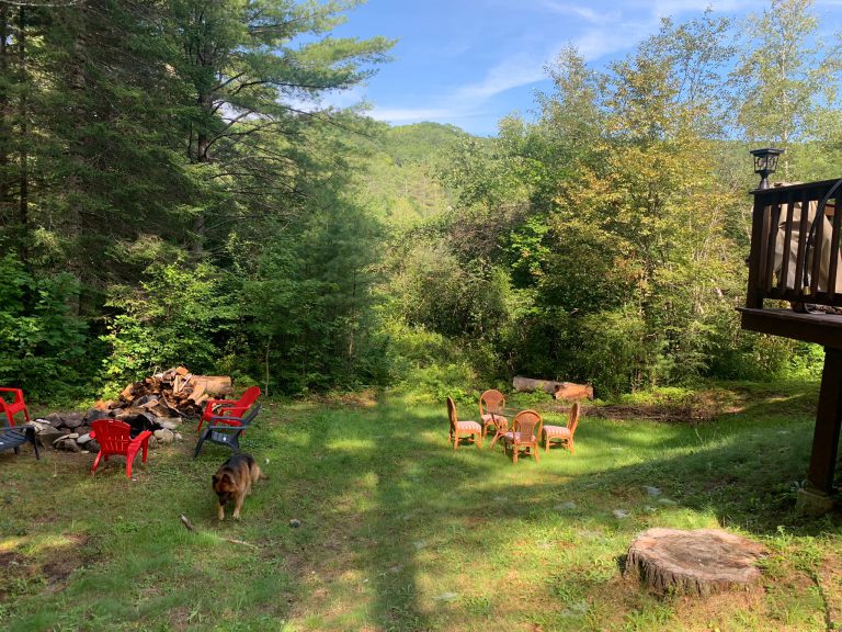 Yard view.